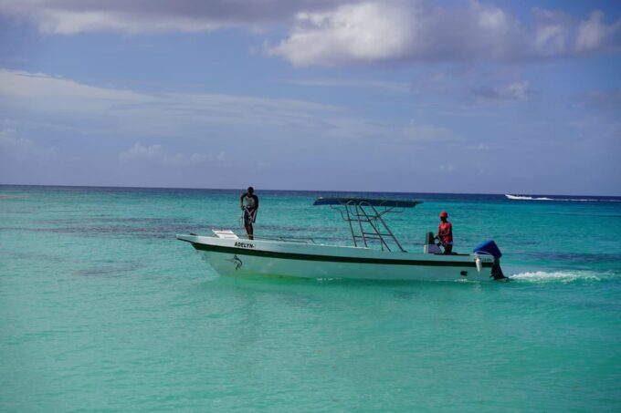 Saona Island: 6 Hour Private Tour With Snorkeling - Snorkeling Locations and Wildlife