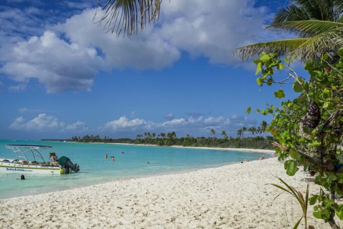 Saona Island: 6 Hour Private Tour With Snorkeling - Transportation and Transfers