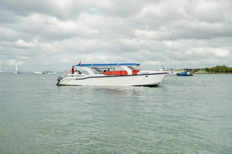 Saona Island, a Memorable Experience From Santo Domingo. - Overview and Pricing