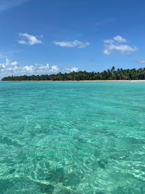Saona Island, a Memorable Experience From Santo Domingo. - Multilingual Tour Guide and Pickup