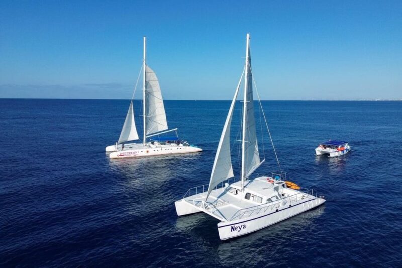 Saona Island, a Memorable Experience From Santo Domingo. - Frequently Asked Questions