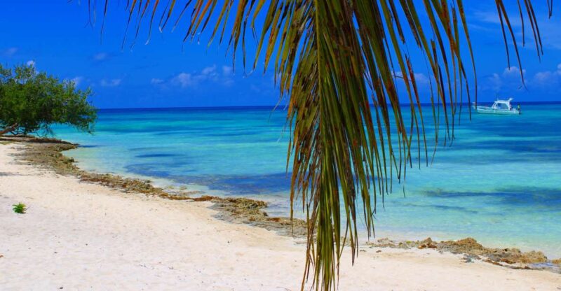 Saona Island: All-Inclusive Full-Day Tour - Itinerary Details