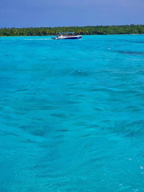 Saona Island: All-Inclusive Full-Day Tour - Transportation and Accessibility