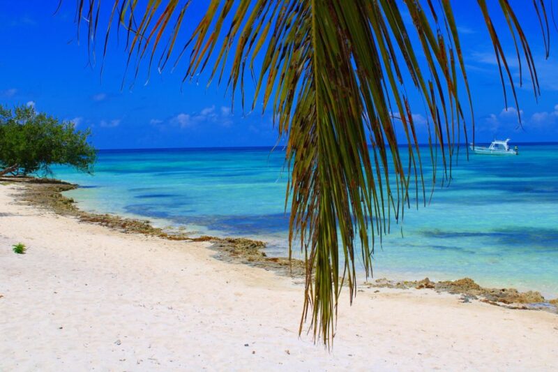 Saona Island: All-Inclusive Full-Day Tour - Experience Highlights