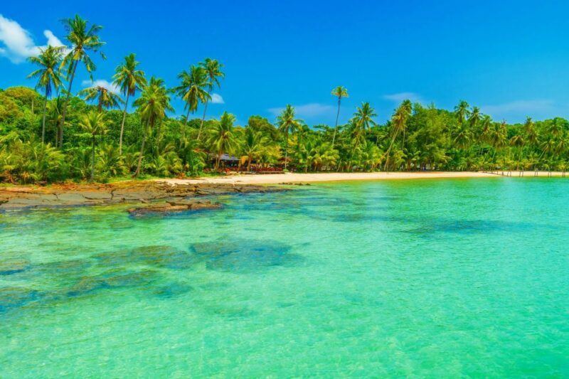 Saona Island: All-Inclusive Full-Day Tour - Customer Feedback