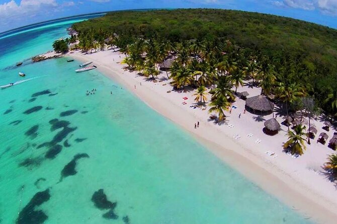 Saona Island and Snorkeling From Punta Cana - Inclusions and Highlights