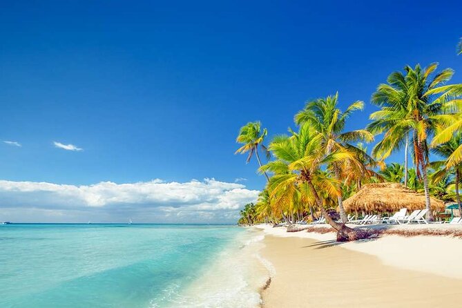 Saona Island and Snorkeling From Punta Cana - Booking Your Stay