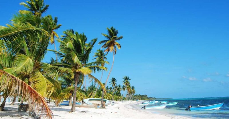 Saona Island: Beaches and Natural Pool Cruise With Lunch - Pricing and Booking Details