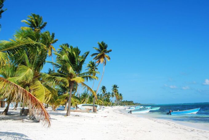 Saona Island: Beaches and Natural Pool Cruise With Lunch - Accessibility and Languages