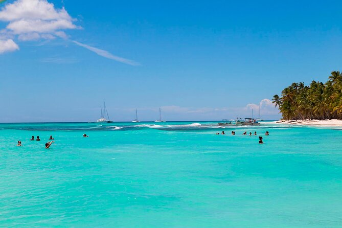 Saona Island Catamaran Adventure With Free Food and Transportation - Customer Feedback