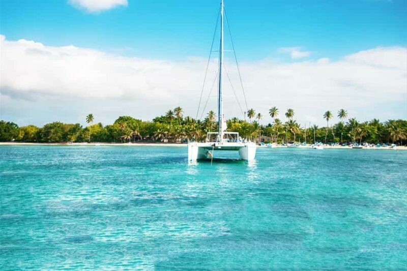 Saona Island Catamaran Cruise with Buffet - The Natural Pool and Starfish Encounter