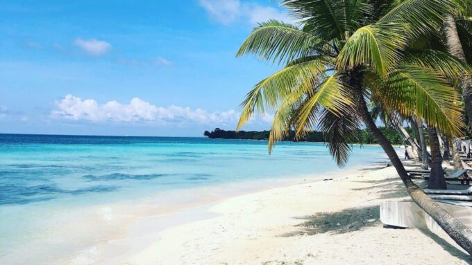 Saona Island Catamaran Experience With Lunch From Punta Cana - Customer Reviews