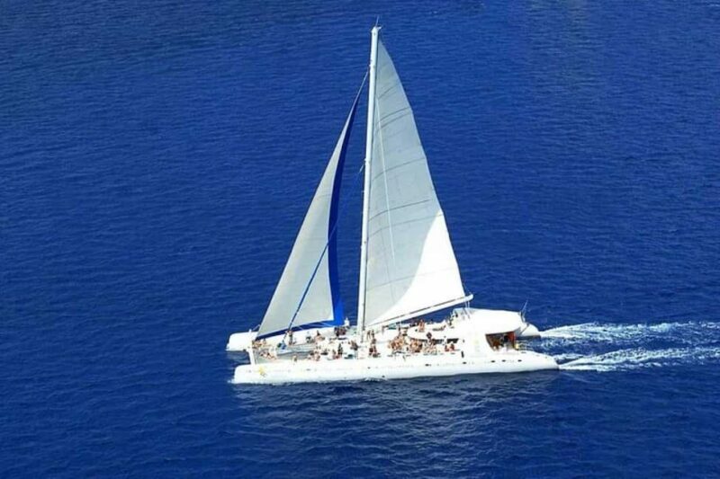 Saona Island: Catamaran/Speedboat Tour to a Dream Beach - Key Points