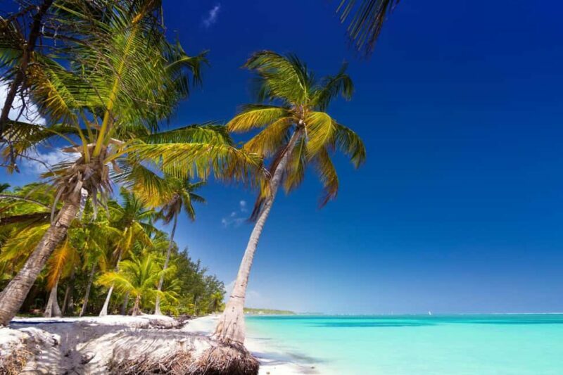Saona Island: Catamaran/Speedboat Tour to a Dream Beach - Final Thoughts
