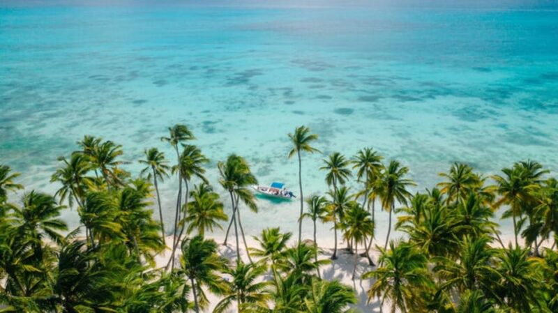 Saona Island: Catamaran Tour to a Dream Beach, All Inclusive - Tour Overview and Pricing