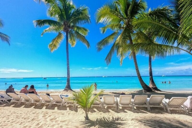 Saona Island: Catamaran Tour to a Dream Beach, All Inclusive - Customer Feedback