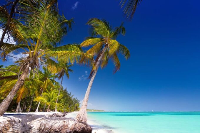 Saona Island: Catamaran Tour to a Dream Beach, All Inclusive - Frequently Asked Questions