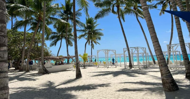 Saona Island & Chavon River Tour With Lunch & Drinks - Itinerary and Highlights