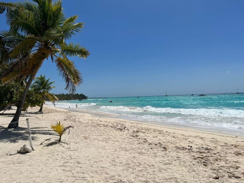 Saona Island & Chavon River Tour With Lunch & Drinks - Dining and Refreshments