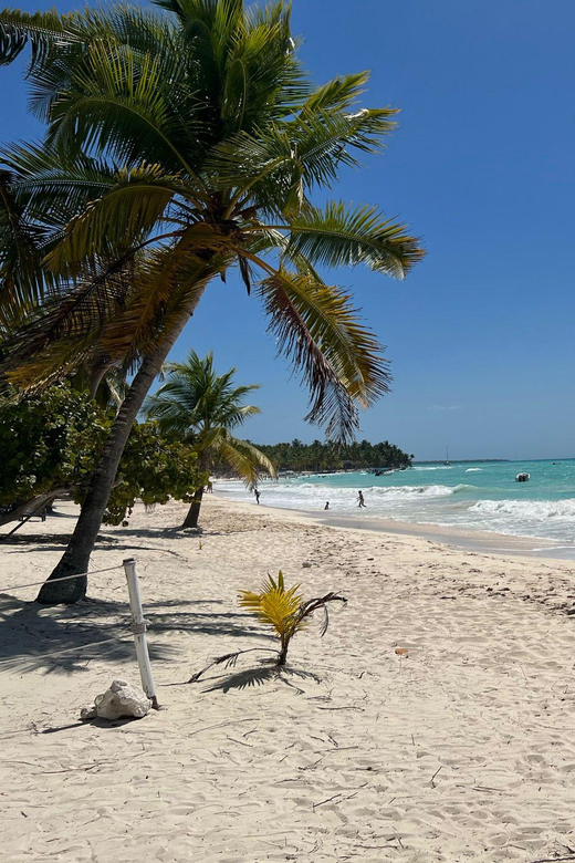 Saona Island & Chavon River Tour With Lunch & Drinks - Transportation and Accessibility