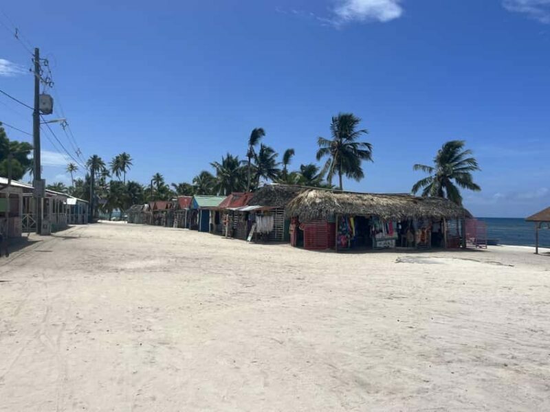 Saona Island Day for Marella Discovery (La Romana Port) - Detailed Breakdown of the Itinerary and Experience