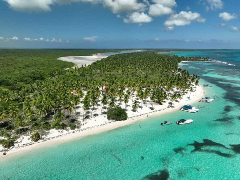 Saona Island Day for Marella Discovery (La Romana Port) - Authenticity & Value: What Travelers Say