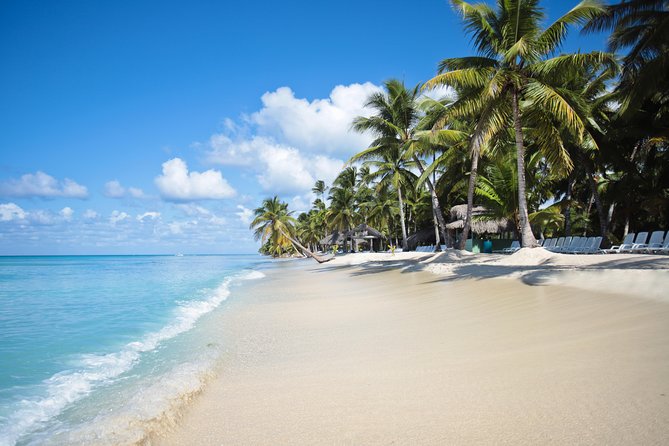 Saona Island Day Trip - What to Expect