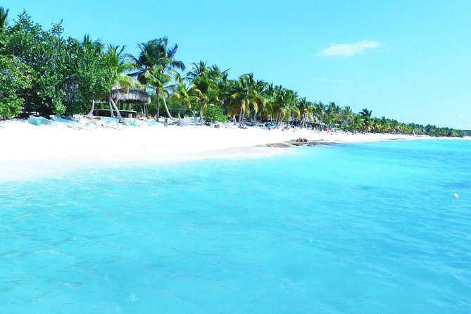 Saona Island Day Trip and Snorkeling From Punta Cana - Whats Included in the Tour