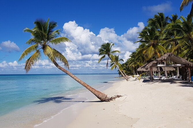 Saona Island Day Trip From Cap Cana With Lunch and Open Bar Included - Tour Schedule and Timing