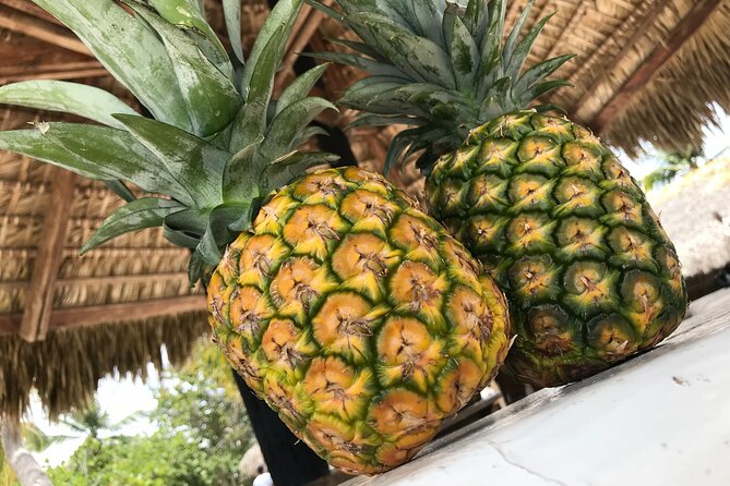 Saona Island Day Trip From Cap Cana With Lunch and Open Bar Included - Highlights of Saona Island