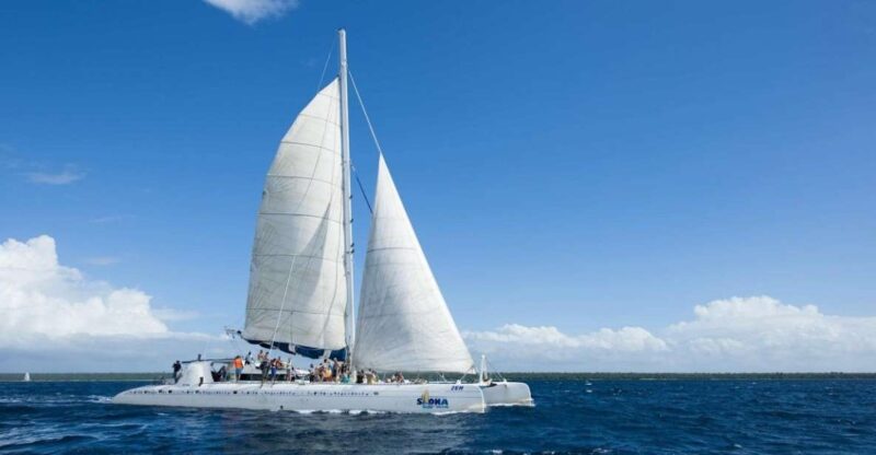 Saona Island Day Trip From Punta Cana + Lunch & Open Bar - Key Points