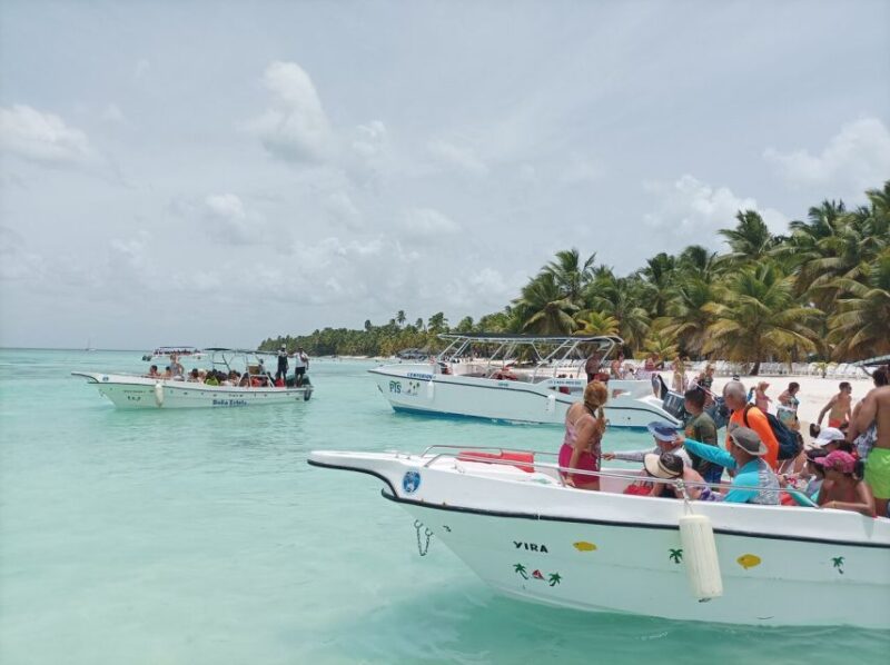 Saona Island Day Trip From Punta Cana + Lunch & Open Bar - Natural Pool Experience