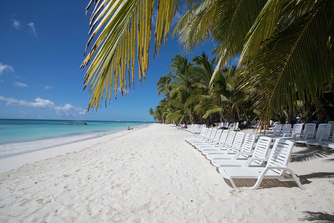 Saona Island Day Trip From Punta Cana With Lunch and Open Bar - Inclusions and Logistics