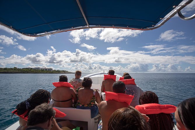 Saona Island Day Trip From Punta Cana With Lunch and Open Bar - Dining and Beverages