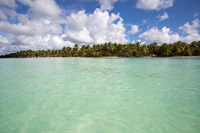 Saona Island Day Trip From Punta Cana With Lunch and Open Bar - Transportation and Pickup