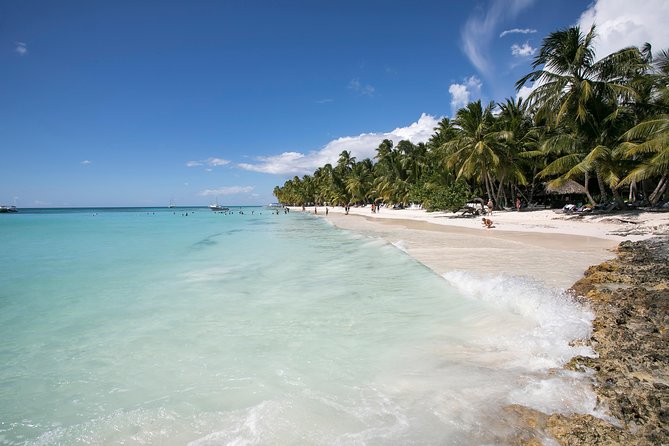 Saona Island Day Trip From Punta Cana With Lunch and Open Bar - Traveler Reviews