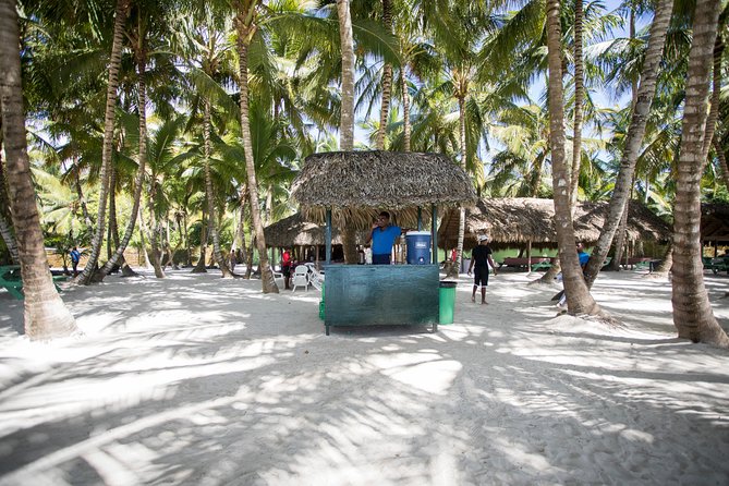 Saona Island Day Trip From Punta Cana With Lunch and Open Bar - Considerations and Recommendations