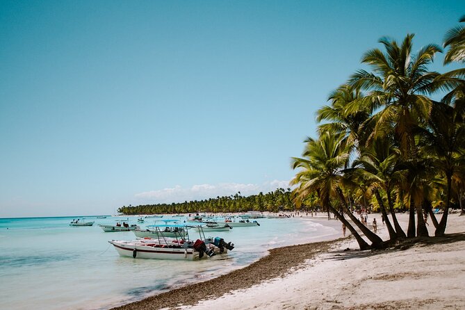 Saona Island Day Trip From Punta Cana With Pick up and Open Bar - Snorkeling and Beach Activities