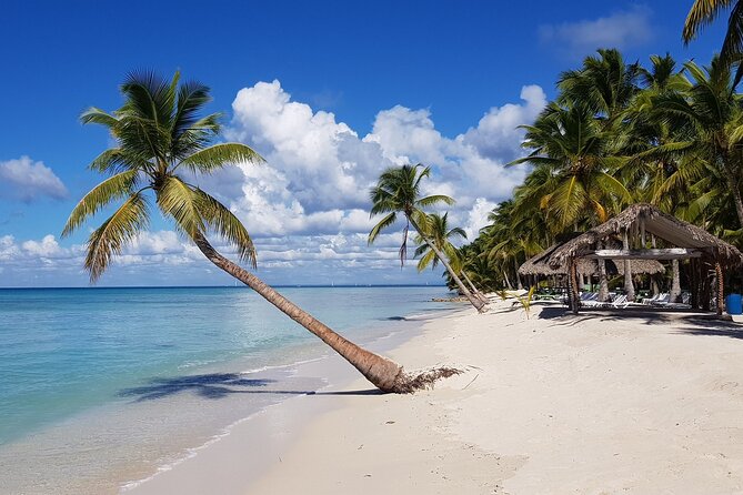 Saona Island Day Trip + Lobsters Included in Cap Cana - About Your Stay