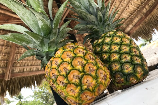 Saona Island Day Trip + Lobsters Included in Cap Cana - Accessibility and Participation