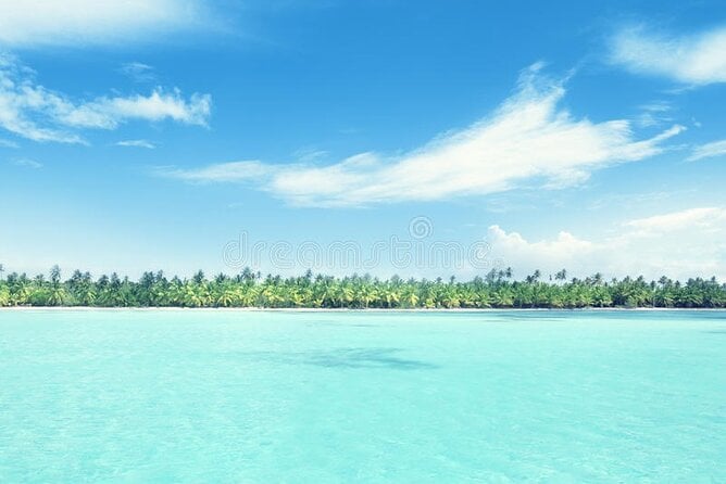 Saona Island Day Trip + Lobsters Included in Cap Cana - Why Visit Saona Island