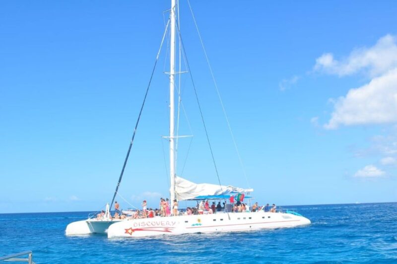 Saona Island Day Trip + Lobsters Included - Key Points