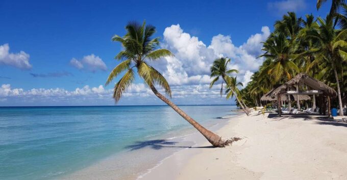 Saona Island Day Trip + Lobsters Included - Frequently Asked Questions