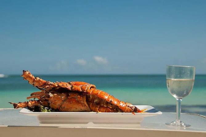 Saona Island Day Trip + Lobsters & Wine Included - About Your Stay