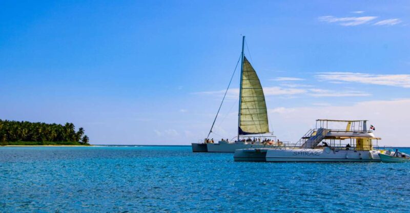 Saona Island Day Trip + Lunch + Open Bar From Punta Cana - Activities and Amenities