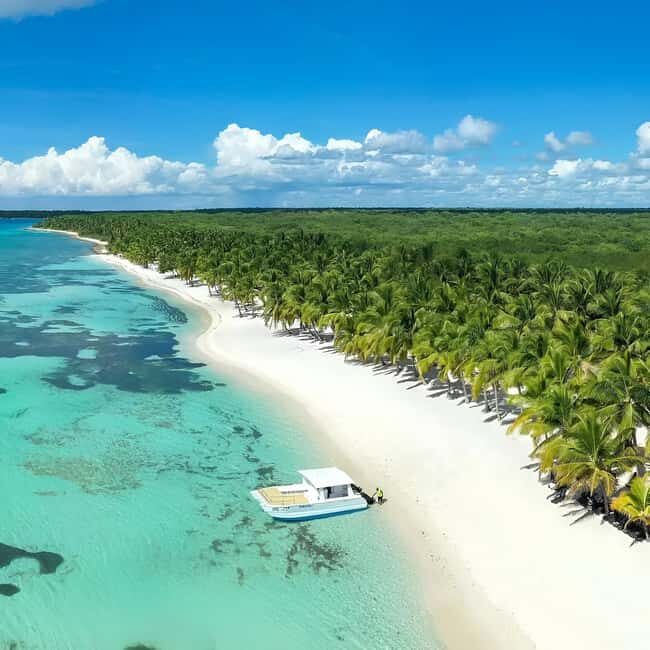 Saona Island Day Trip + Lunch + Open Bar from Punta Cana - The Itinerary: What You Can Expect