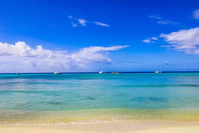 Saona Island Day Trip + Lunch + Open Bar from Punta Cana - FAQ
