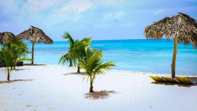 Saona Island Day Trip + Lunch + Open Bar from Punta Cana - Final thoughts
