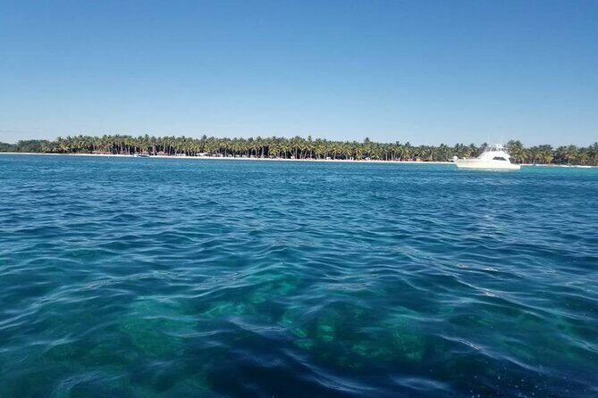 Saona Island Day Trip with Lobsters Included in Bayahibe - Key Points