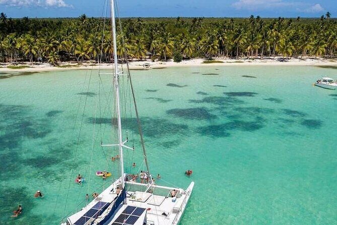 Saona Island Day Trip with Lunch, Transportation and Drinks - Detailed Itinerary Breakdown